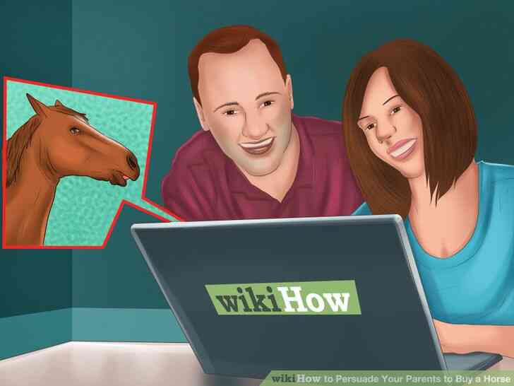 Image intitulée Convaincre Tes Parents d